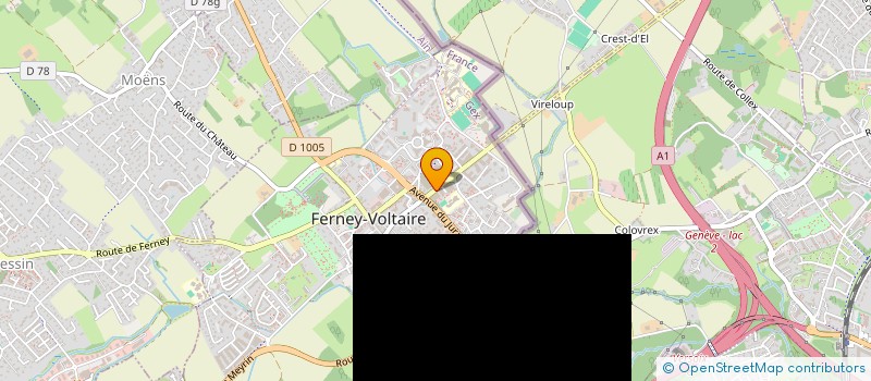 localisation de l'entreprise MONSIEUR NICHOLAS WARD à FERNEY-VOLTAIRE