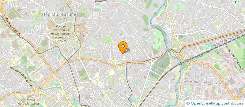 localisation de l'entreprise MONSIEUR NICO GUILLIOT  MONTPELLIER