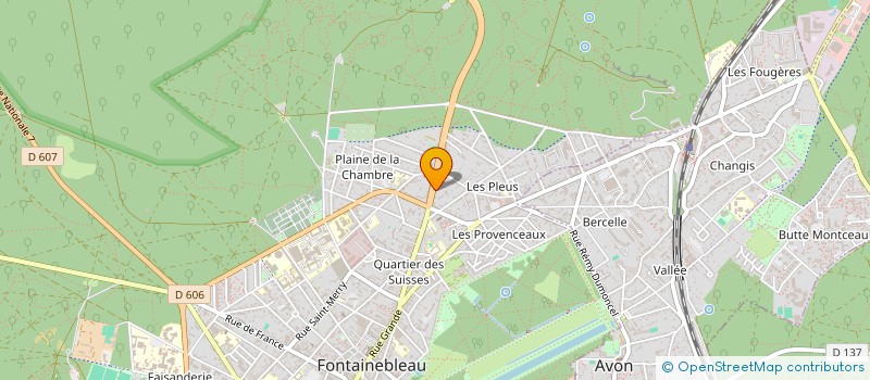 localisation de l'entreprise MONSIEUR NICOLAAS VIJVERBERG  FONTAINEBLEAU