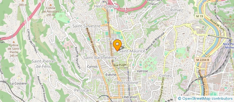 localisation de l'entreprise MONSIEUR NICOLAE CALMIS à NICE