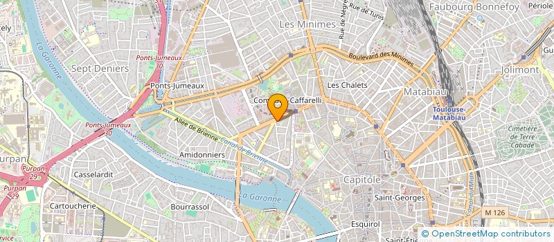 localisation de l'entreprise MONSIEUR NICOLAE CIONTU  TOULOUSE