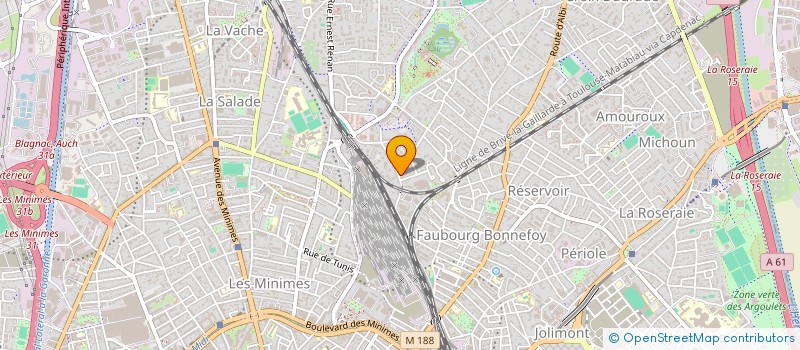 localisation de l'entreprise MONSIEUR NICOLAE COBZARU  TOULOUSE