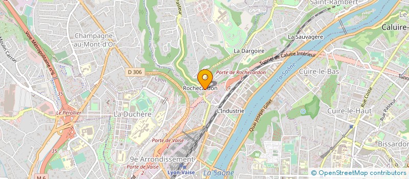 localisation de l'entreprise MONSIEUR NICOLAE CORNEA  SAINT-DIDIER-AU-MONT-D'OR