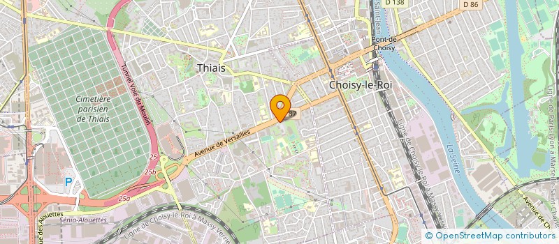 localisation de l'entreprise MONSIEUR NICOLAE LEU  THIAIS