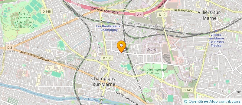 localisation de l'entreprise MONSIEUR NICOLAE MALAI à CHAMPIGNY-SUR-MARNE