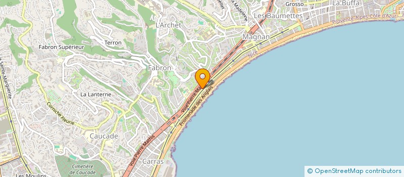 localisation de l'entreprise MONSIEUR NICOLAE SOFRONI à NICE