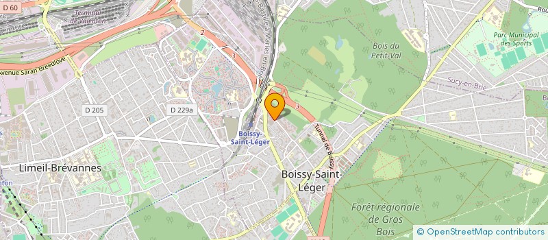 localisation de l'entreprise MONSIEUR NICOLAE ZGUREANU à BOISSY-SAINT-LEGER