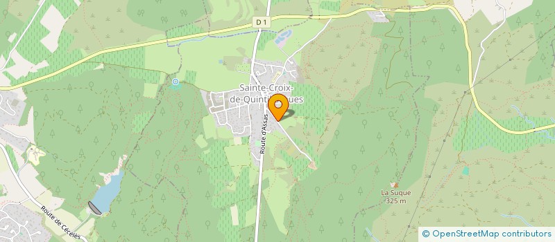 localisation de l'entreprise MONSIEUR NICOLAS AILLOUD  SAINTE-CROIX-DE-QUINTILLARGUES