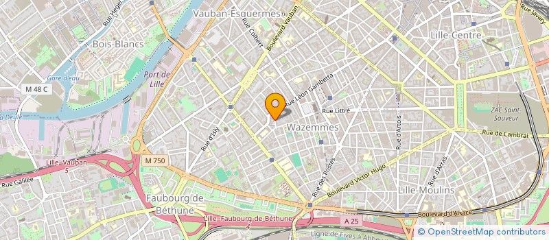 localisation de l'entreprise MONSIEUR NICOLAS ALLOUCHERY  LILLE