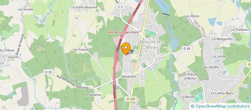 localisation de l'entreprise MONSIEUR NICOLAS ANGEJA  LE PALAIS-SUR-VIENNE