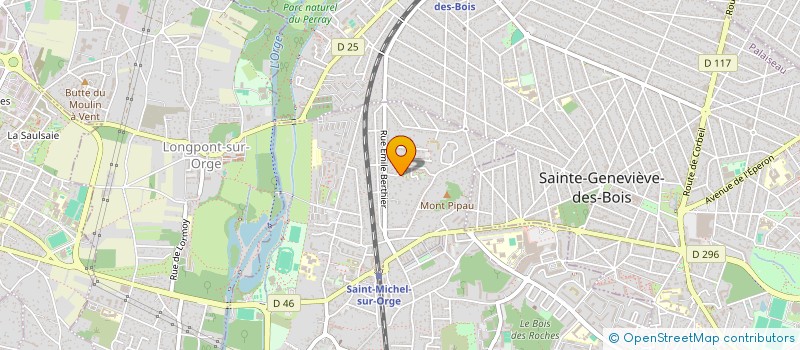 localisation de l'entreprise MONSIEUR NICOLAS ANJORAND  SAINT-MICHEL-SUR-ORGE