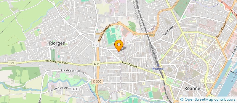 localisation de l'entreprise MONSIEUR NICOLAS ANTONIO  RIORGES