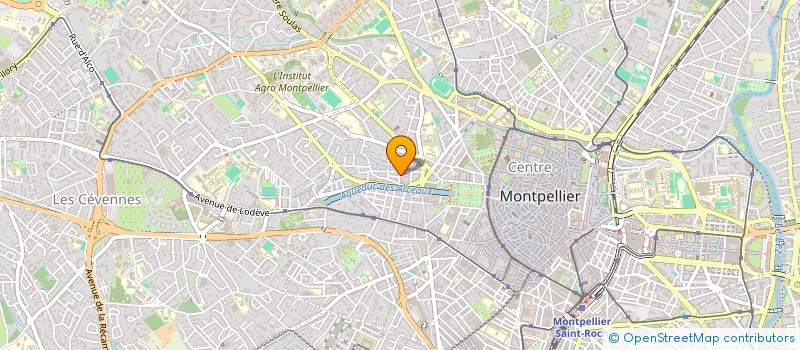 localisation de l'entreprise MONSIEUR NICOLAS ARCIVOS à MONTPELLIER
