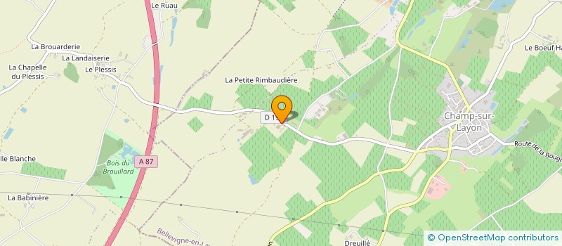 localisation de l'entreprise MONSIEUR NICOLAS ARNOU à BELLEVIGNE-EN-LAYON