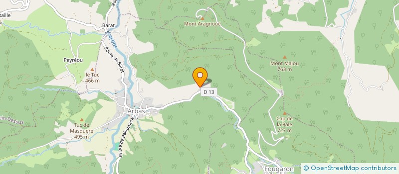 localisation de l'entreprise MONSIEUR NICOLAS ARTIGUES  MONTASTRUC-DE-SALIES