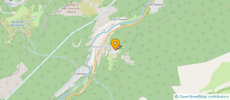 localisation de l'entreprise MONSIEUR NICOLAS BACQUET  LIVET-ET-GAVET