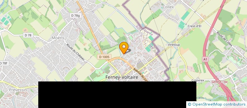 localisation de l'entreprise MONSIEUR NICOLAS BARDOUX à FERNEY-VOLTAIRE