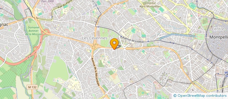 localisation de l'entreprise MONSIEUR NICOLAS BAZARD à MONTPELLIER