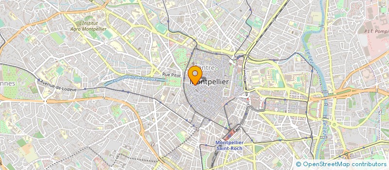 localisation de l'entreprise MONSIEUR NICOLAS BEDEL-GIROU DE BUZAREINGUES à MONTPELLIER