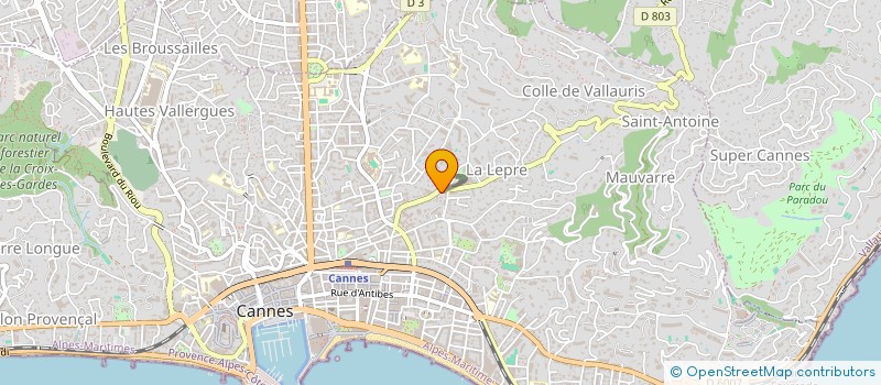 localisation de l'entreprise MONSIEUR NICOLAS BEDO à CANNES