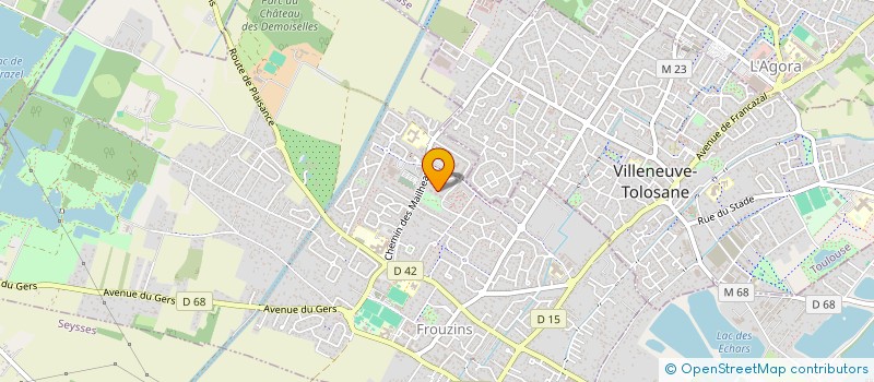 localisation de l'entreprise MONSIEUR NICOLAS BENARD  FROUZINS