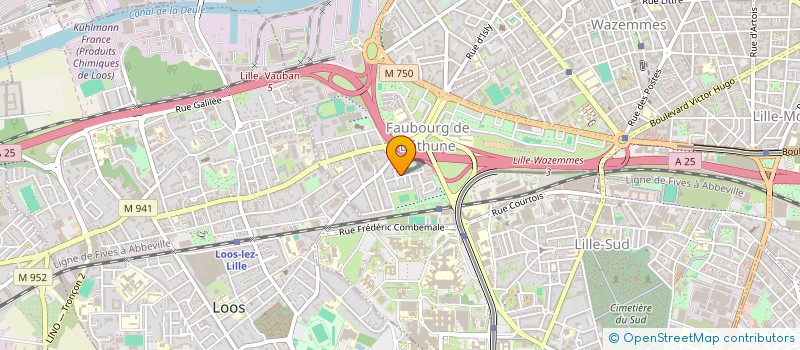 localisation de l'entreprise MONSIEUR NICOLAS BERTIN à LILLE