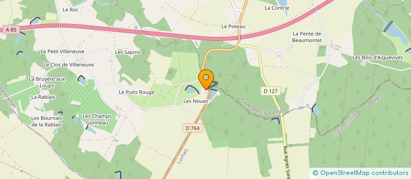 localisation de l'entreprise MONSIEUR NICOLAS BICHOT  SAINT-GEORGES-SUR-CHER