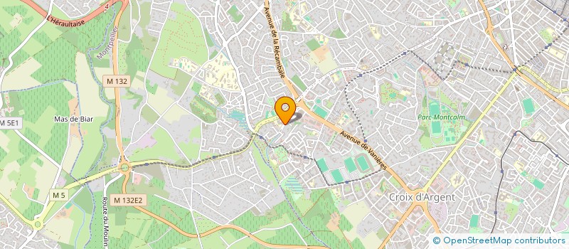 localisation de l'entreprise MONSIEUR NICOLAS BINCOLETTO  MONTPELLIER