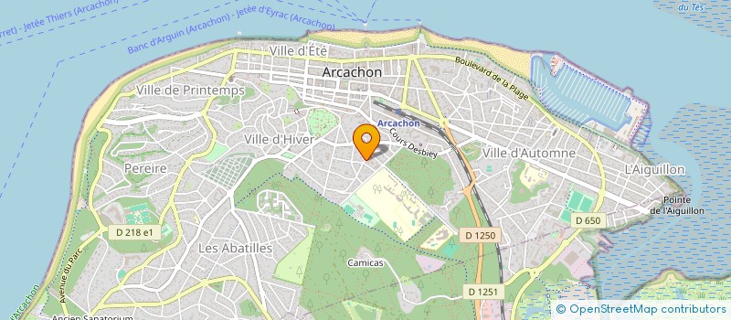 localisation de l'entreprise MONSIEUR NICOLAS BITOUN à ARCACHON