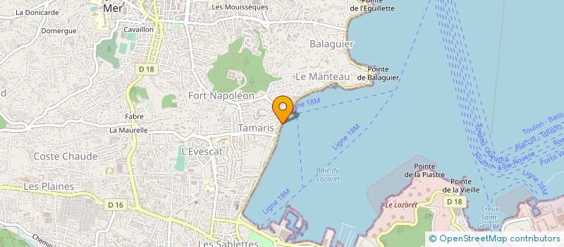 localisation de l'entreprise MONSIEUR NICOLAS BLANC à LA SEYNE-SUR-MER