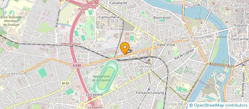 localisation de l'entreprise MONSIEUR NICOLAS BLANCHADELL à TOULOUSE