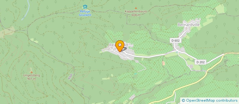 localisation de l'entreprise MONSIEUR NICOLAS BLEESZ  REICHSFELD