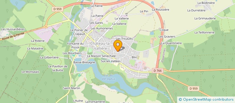 localisation de l'entreprise MONSIEUR NICOLAS BOISSON à CHATEAU-LA-VALLIERE