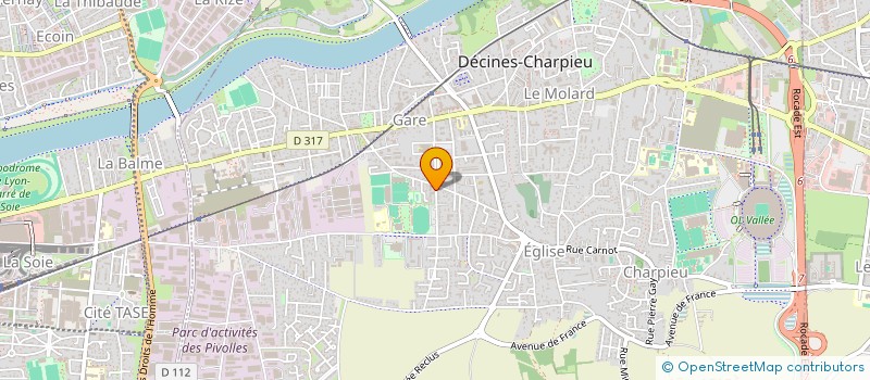 localisation de l'entreprise MONSIEUR NICOLAS BONY  DECINES-CHARPIEU