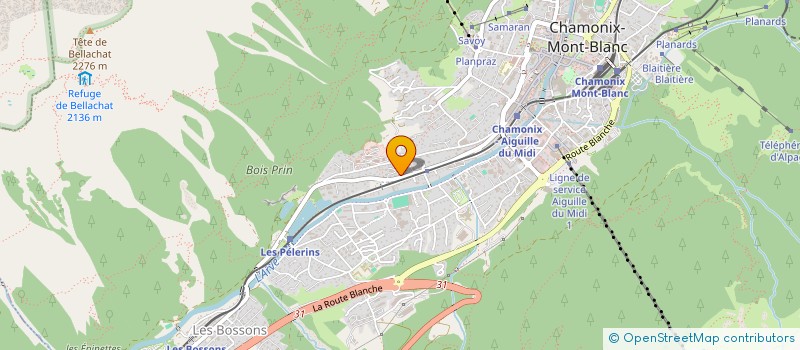 localisation de l'entreprise MONSIEUR NICOLAS BORGEOT  CHAMONIX-MONT-BLANC