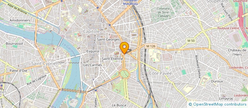 localisation de l'entreprise MONSIEUR NICOLAS BOUCHET à TOULOUSE