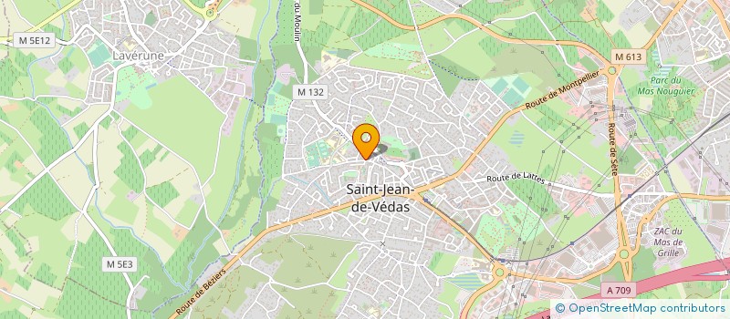 localisation de l'entreprise MONSIEUR NICOLAS BOUIC à SAINT-JEAN-DE-VEDAS