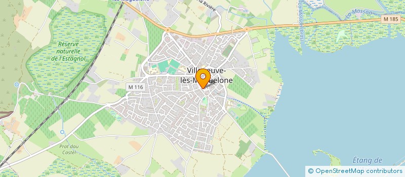 localisation de l'entreprise MONSIEUR NICOLAS BOUQUET  VILLENEUVE-LES-MAGUELONE