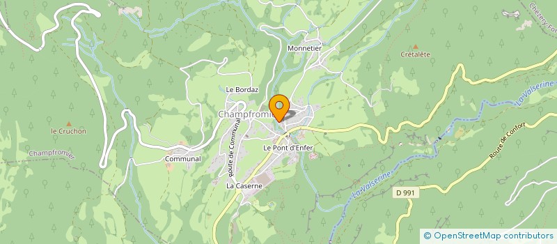 localisation de l'entreprise MONSIEUR NICOLAS BOURIN  CHAMPFROMIER