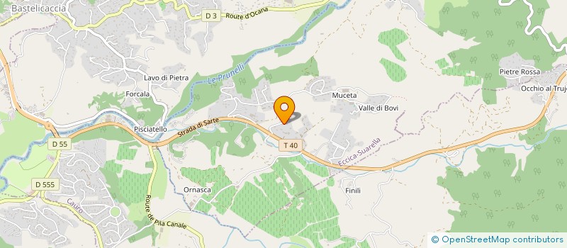 localisation de l'entreprise MONSIEUR NICOLAS BRAINI à ECCICA-SUARELLA