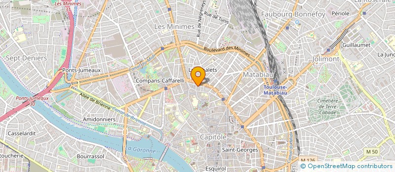 localisation de l'entreprise MONSIEUR NICOLAS BRANGIER à TOULOUSE