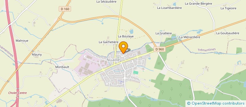 localisation de l'entreprise MONSIEUR NICOLAS BRAUD  TREMENTINES