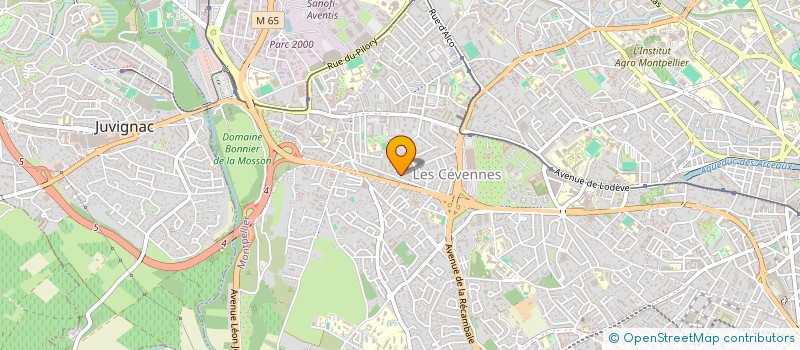 localisation de l'entreprise MONSIEUR NICOLAS BRAZILIER à MONTPELLIER