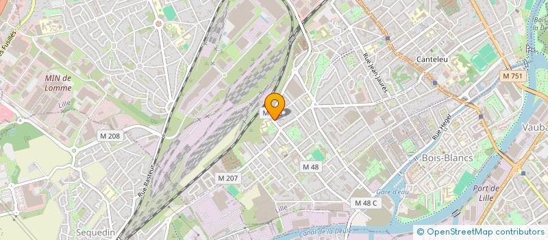 localisation de l'entreprise MONSIEUR NICOLAS BRICOUT  LILLE
