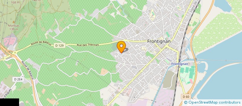 localisation de l'entreprise MONSIEUR NICOLAS BRIGLIOZZI à FRONTIGNAN