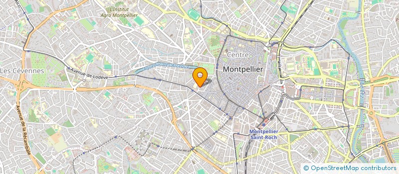 localisation de l'entreprise MONSIEUR NICOLAS BROTON à MONTPELLIER