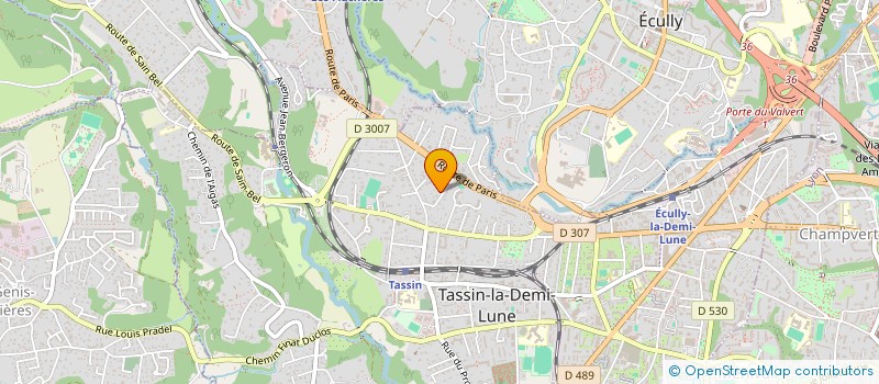 localisation de l'entreprise MONSIEUR NICOLAS BURTIN à TASSIN-LA-DEMI-LUNE