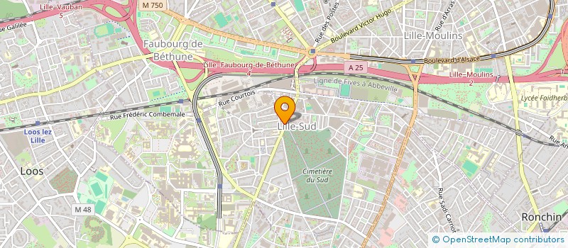 localisation de l'entreprise MONSIEUR NICOLAS CAMARTY à LILLE