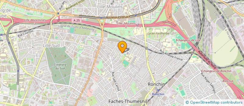 localisation de l'entreprise MONSIEUR NICOLAS CELANO à LILLE