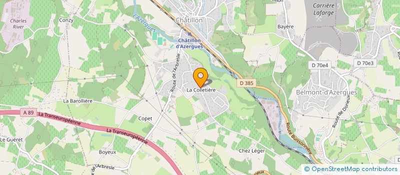 localisation de l'entreprise MONSIEUR NICOLAS CHAGNEUX  CHATILLON